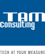 Logo - TAM Consulting